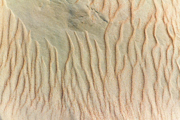 stock image Image of sand dunes