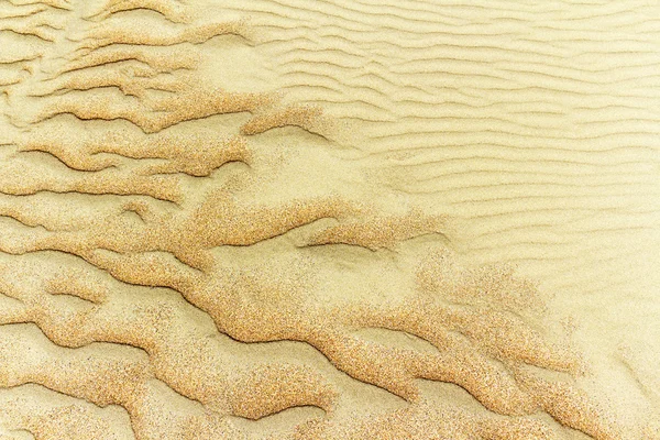 Image of sand dunes — Stock Photo, Image