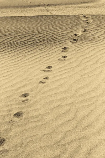 Black and white marks on the sand — Stock Photo, Image