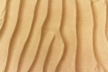 Image of sand dunes clipart