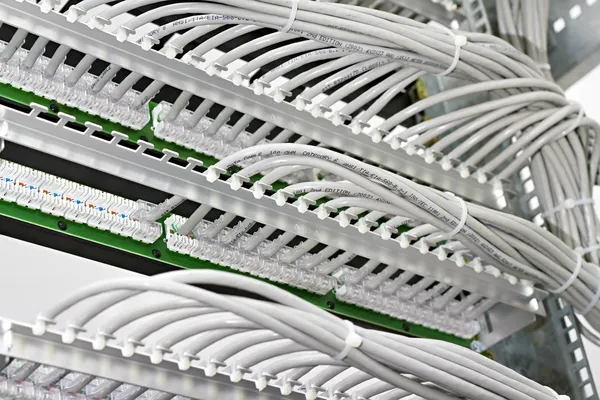 Control cabinet with patch panel of the 6th category — Stock Image Control cabinet with patch panel of the 6th category Stock Image