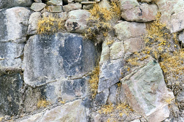 Rocce di pietra con crepe ed erba secca — Foto Stock