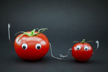 Père et fils tomate