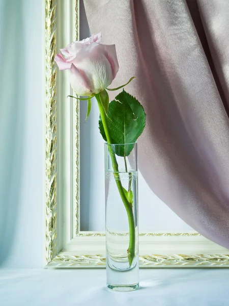 Роза в стеклянной вазе — стоковое фото