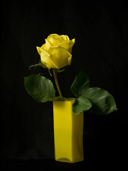 Roos in een vaas glazen gele op een zwarte achtergrond — Stockfoto