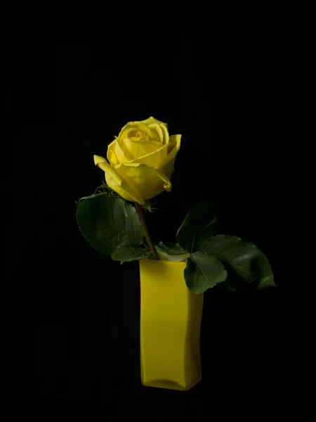 stock image Rose in a glass yellow vase on a black background