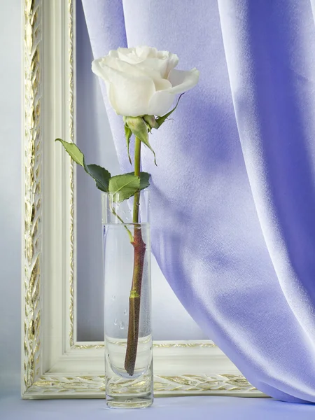 Роза в стеклянной вазе — стоковое фото