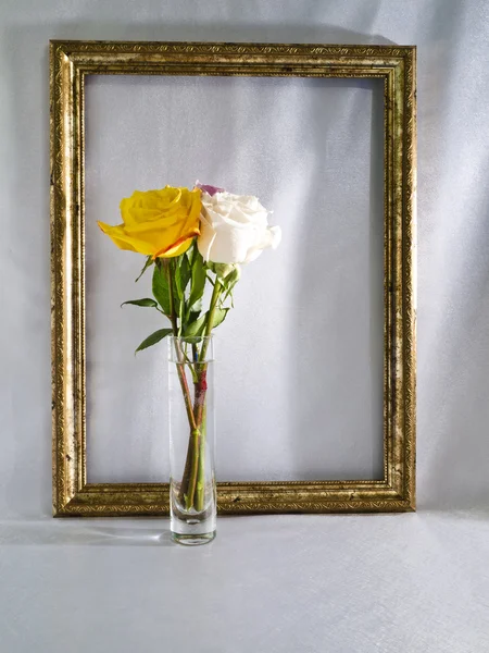 Rose in einer Glasvase — Stockfoto