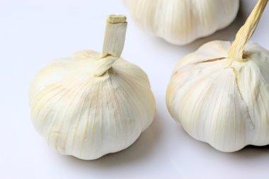 Garlic clipart