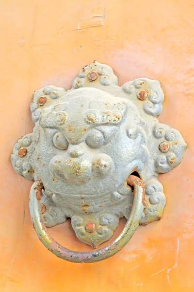 Metal door knocker with lion — Stock Photo, Image