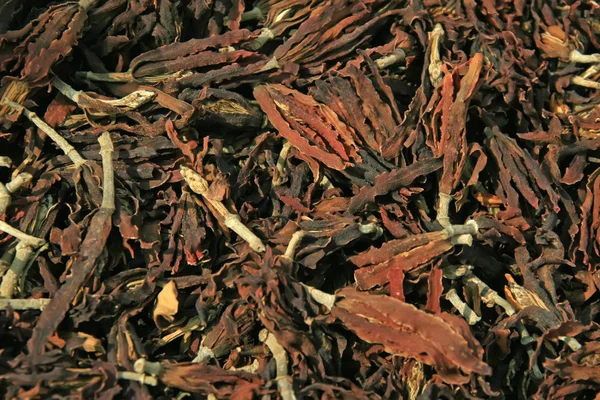 Chinese herbal medicine — Stock Photo, Image