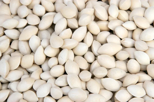 Ginkgo seed — Stock Photo, Image