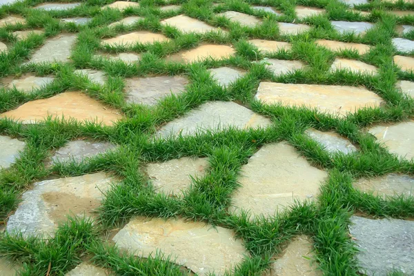 Gräset växer i sprickor i stenar — Stockfoto