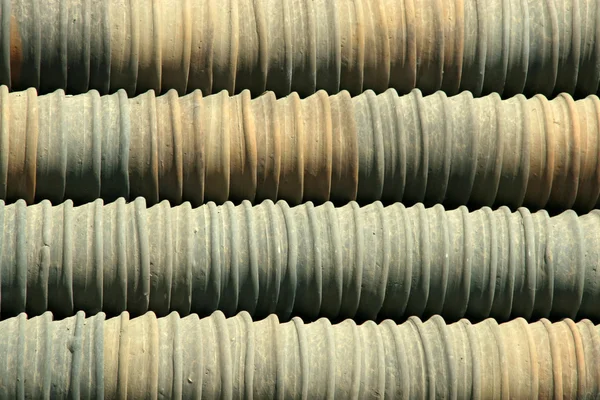Порядочные ряды флоксов — стоковое фото