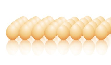 Yumurtalar.