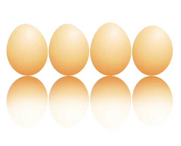 Huevos frescos . — Foto de Stock