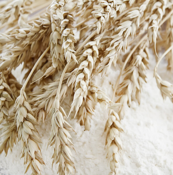 Wheat ears on the flour