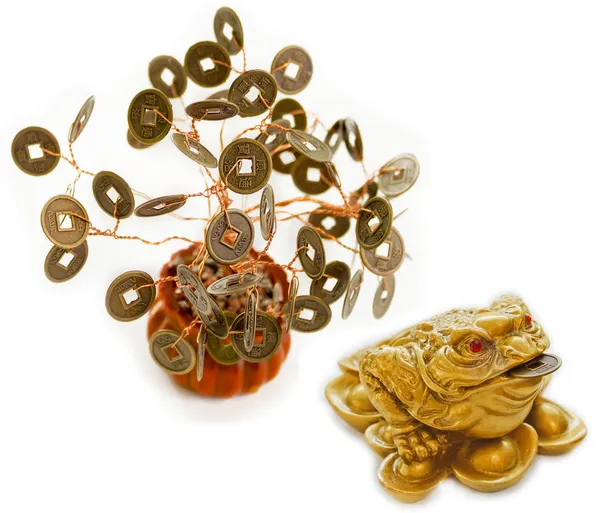 Chińskie feng shui żaba z monet i drzewo pieniądze na białym tle — Zdjęcie stockowe