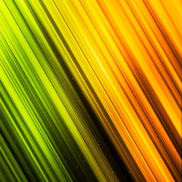 Colorful abstract lines for your background — Stock Photo, Image