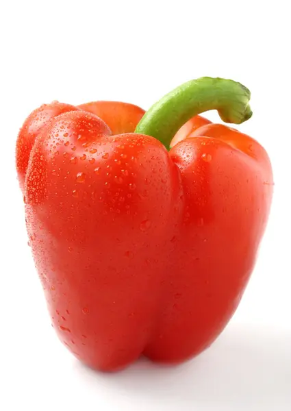 Red peppers on a white background — Stock Photo, Image