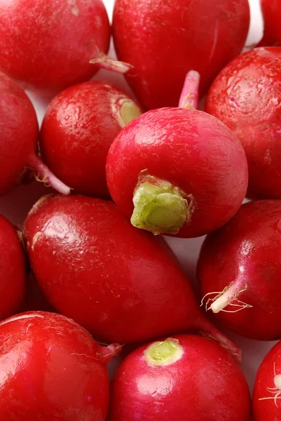 Heap of a red and damp radish — Stock Photo, Image