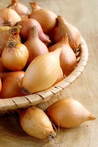 Cogumelos em uma tigela, decorados com vegetação — Fotografia de Stock