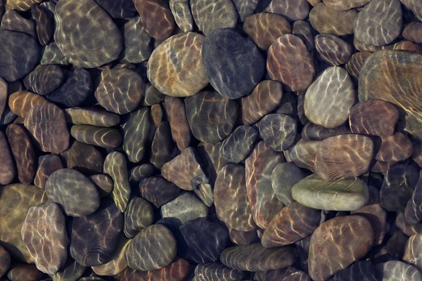 Pebbles in shallow water — Stock Photo, Image