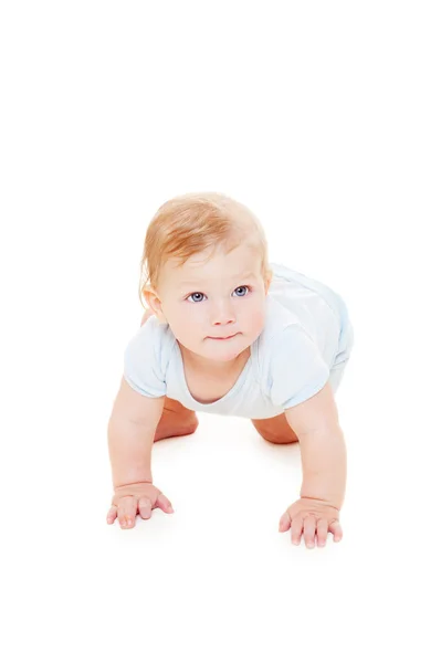 Studio picture of baby crawling — Stock Photo, Image