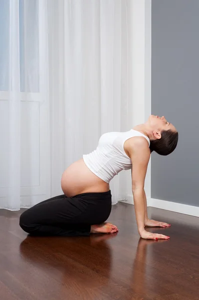 Młoda kobieta w ciąży robi gimnastyka — Zdjęcie stockowe