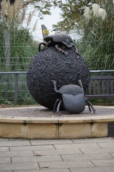 Dung Beetle Statue — Stock Photo, Image