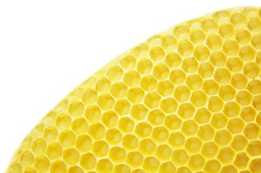 Honeycombs clipart