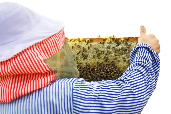 ミツバチのキーパー — ストック写真