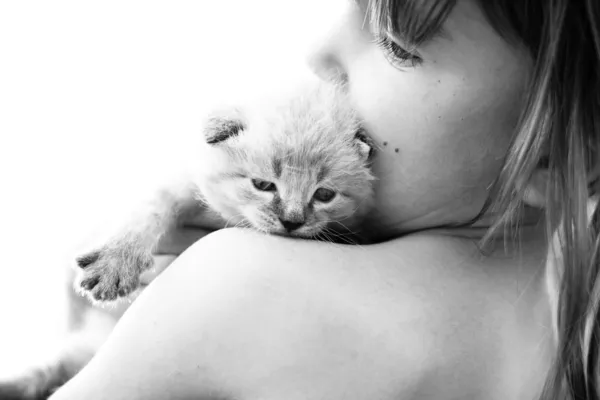 Criança e um gatinho branco . — Fotografia de Stock