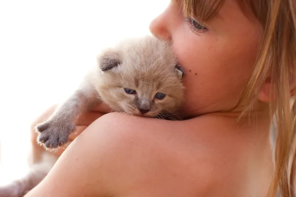 Child and a white kitten. — Stock Photo, Image