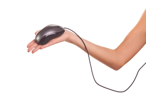 Женская рука, держащая компьютерную мышку — стоковое фото