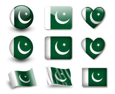 The Pakistani flag clipart