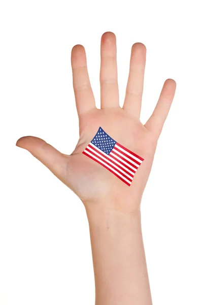 The USA flag painted on the palm. — Stock Photo, Image