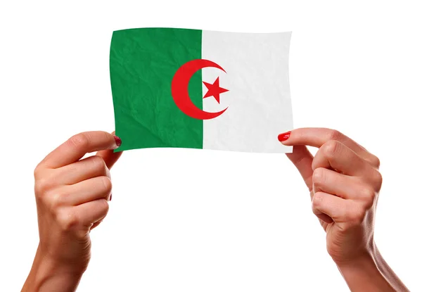 Alžírská vlajka v rukou ženy. — Stock fotografie