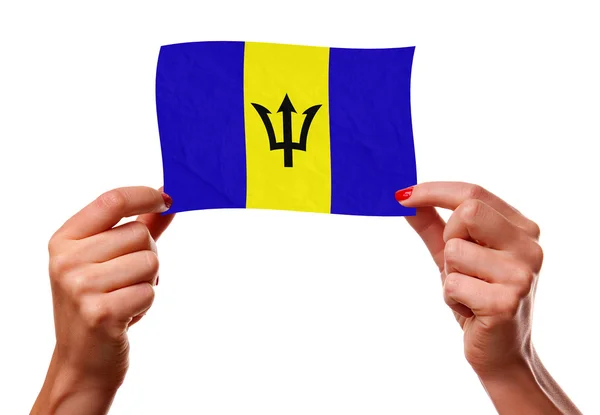 The Barbados flag — Stock Photo, Image