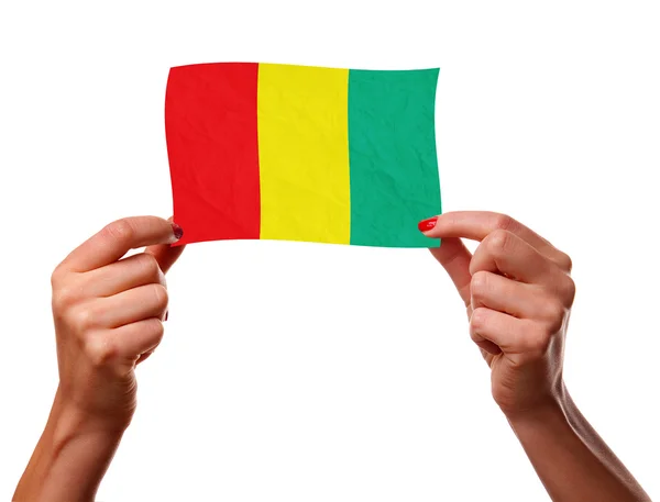 Gineli bayrağı — Stok fotoğraf