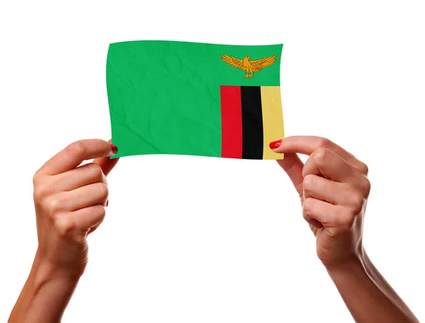 The Zambian flag — Stock Photo, Image