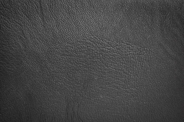 stock image Leather background