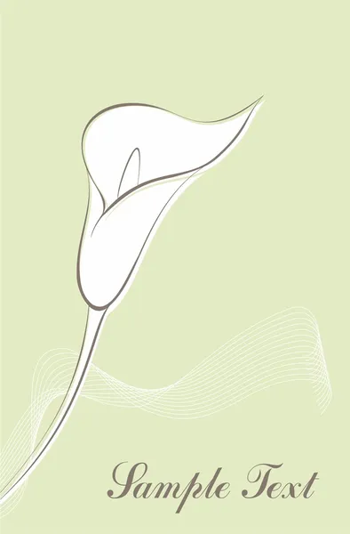 Carte avec fleur de calla — Image vectorielle