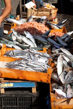 Fishes, Fish market, Catania clipart