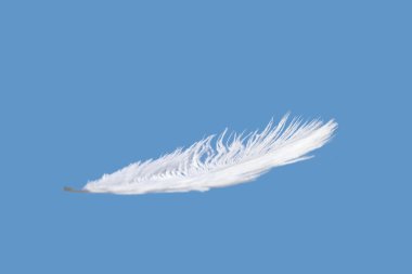 Feather with blue sky clipart
