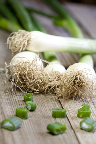 Stock image Spring onions