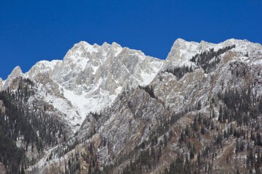 Banff Ulusal Parkı 'ndaki Rocky Dağları