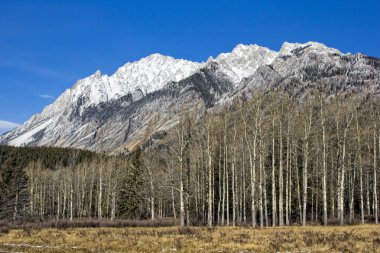 Banff Ulusal Parkı 'ndaki Rocky Dağları