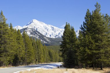 Banff Ulusal Parkı 'ndaki Rocky Dağları