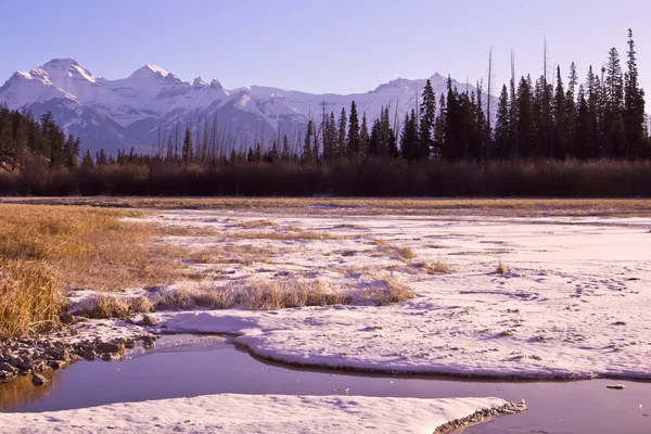 Зимняя страна чудес в Скалистых горах — стоковое фото